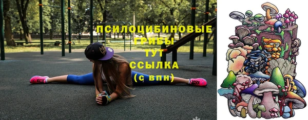 бошки Нея