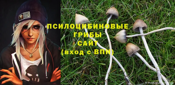 бошки Нея