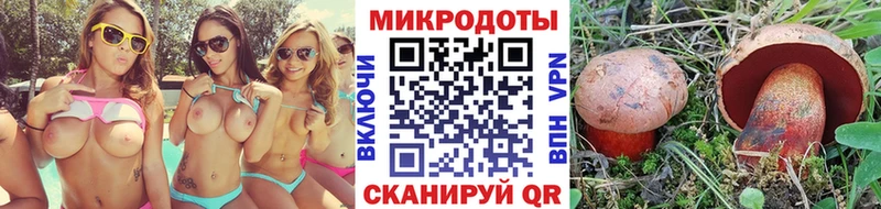 Галлюциногенные грибы Psilocybe  Купить где  Лесной 