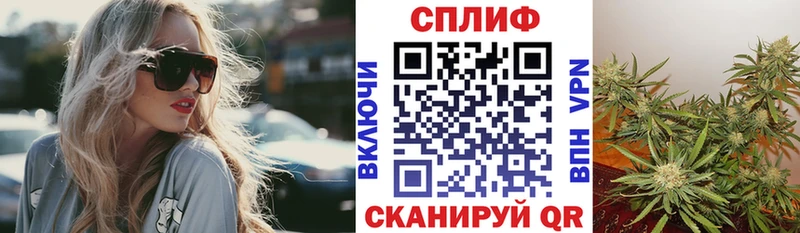 Каннабис сатива  Купить закладки  Лесной 